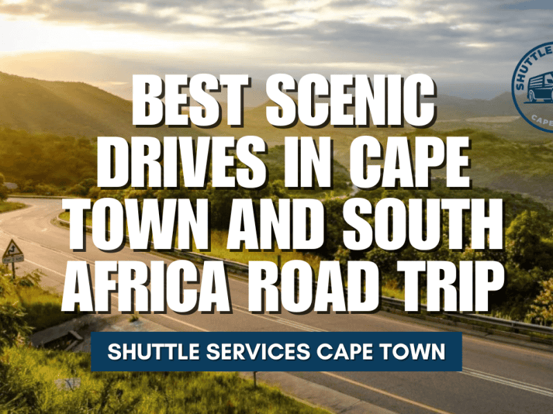 Best Scenic Drives in Cape Town and South Africa Road Trip