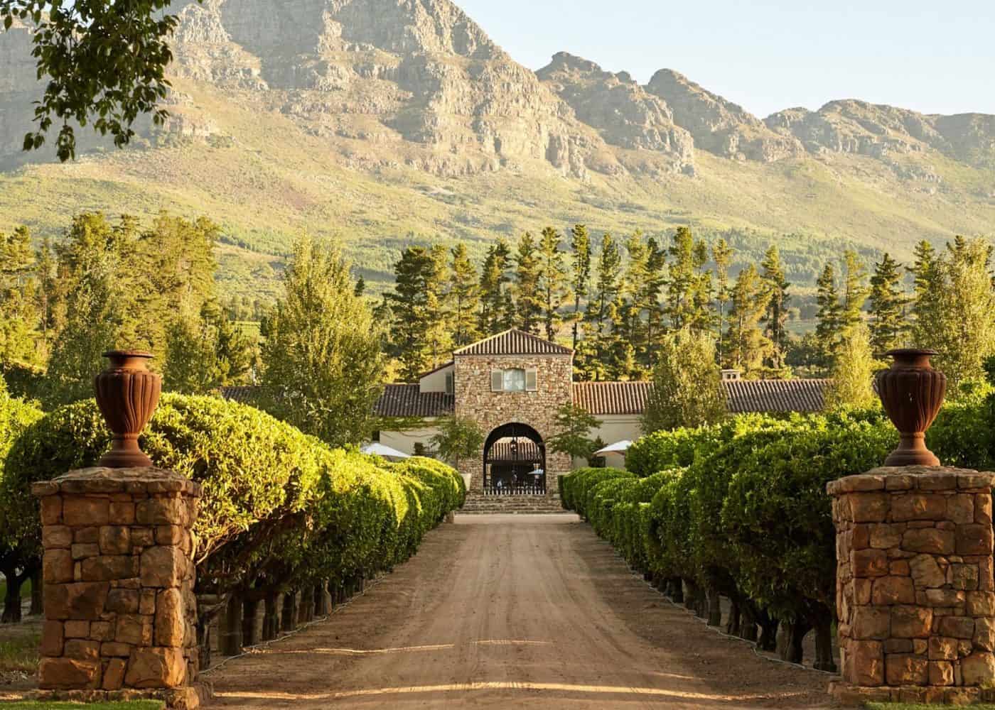 Cape Winelands A Journey Through Vineyards