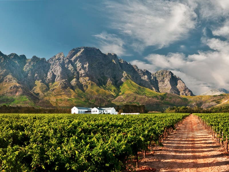 Franschhoek Wine Route