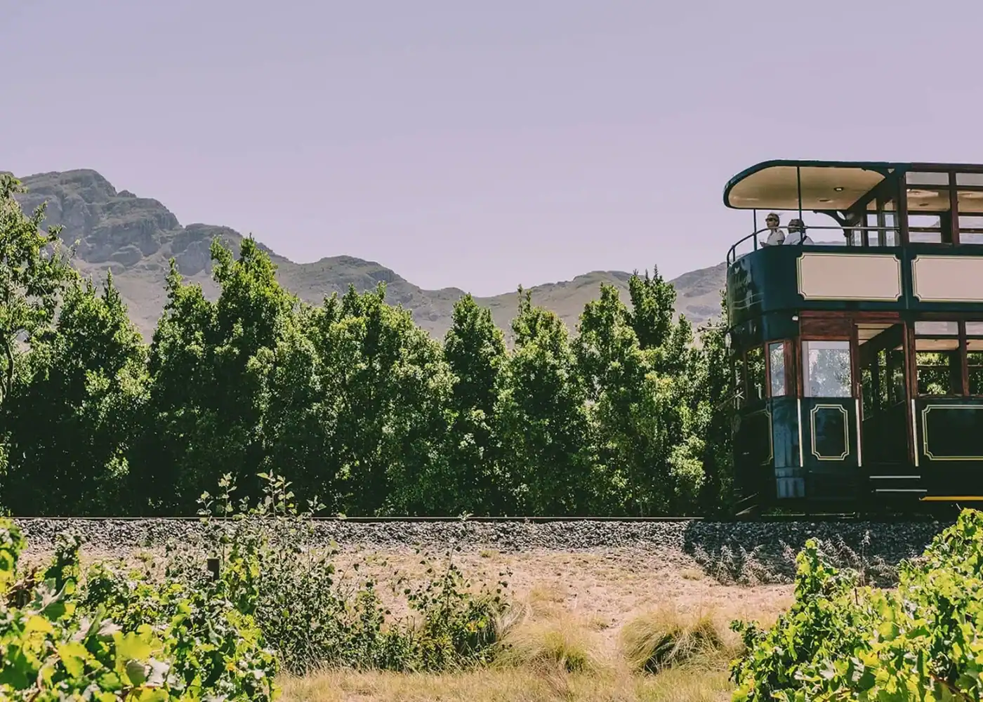 How to Plan Your Tram Experience