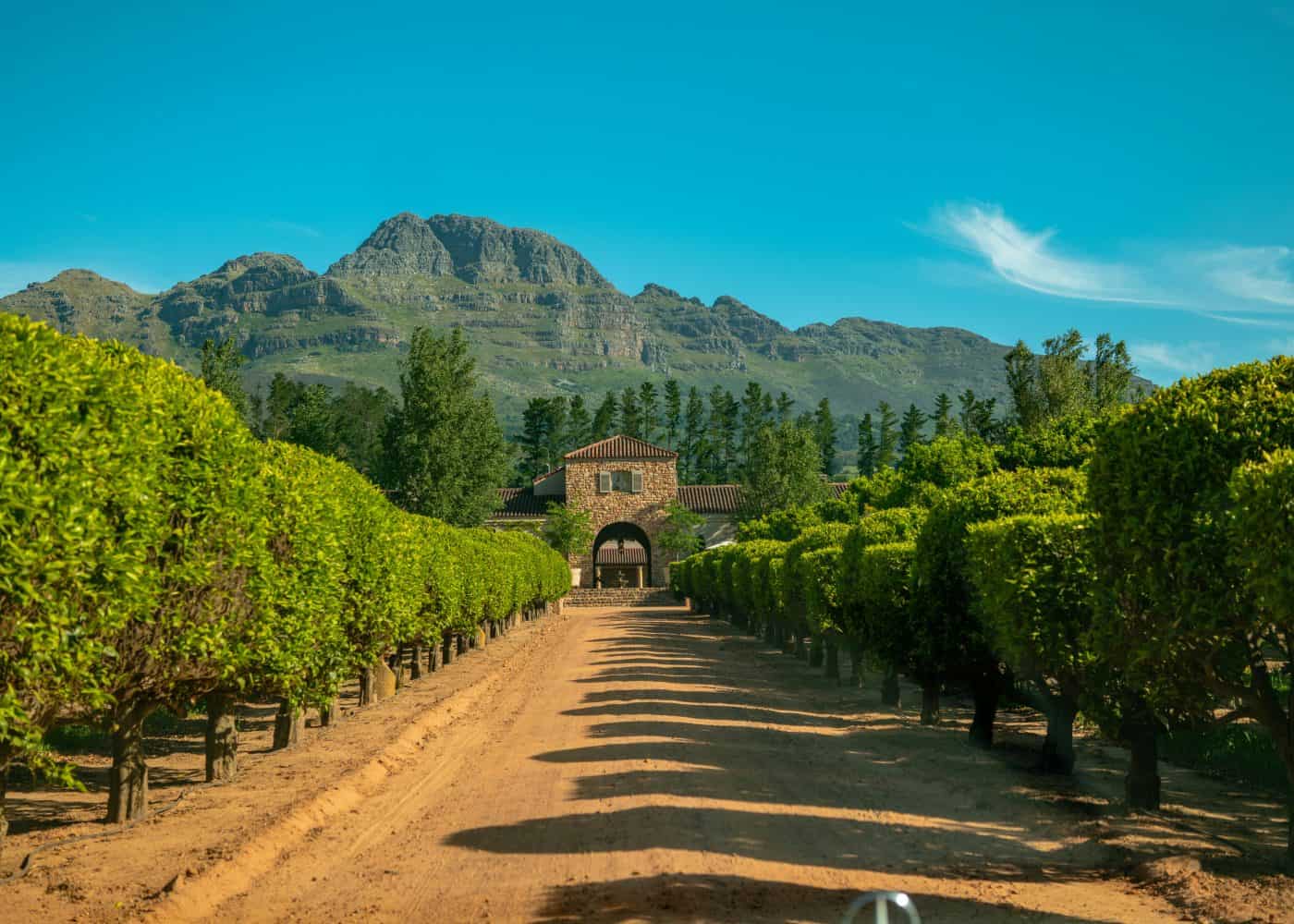 Cultural Significance of These Regions Stellenbosche