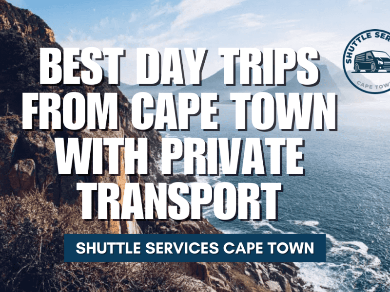 Best Day Trips from Cape Town with Private Transport