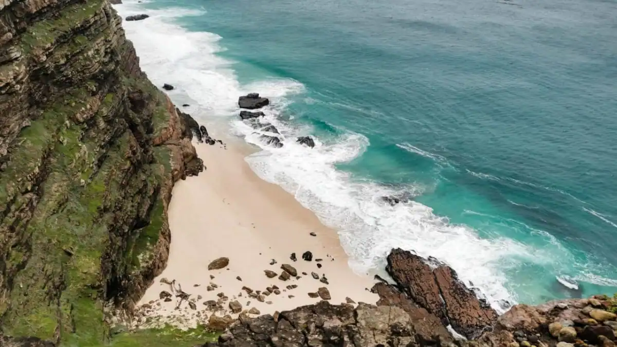 Exploring the Cape of Good Hope