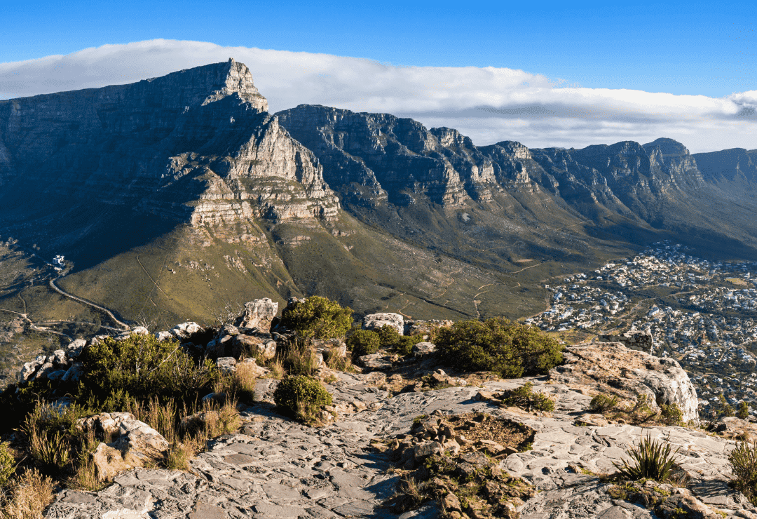 Overview of the Best Day Trips from Cape Town