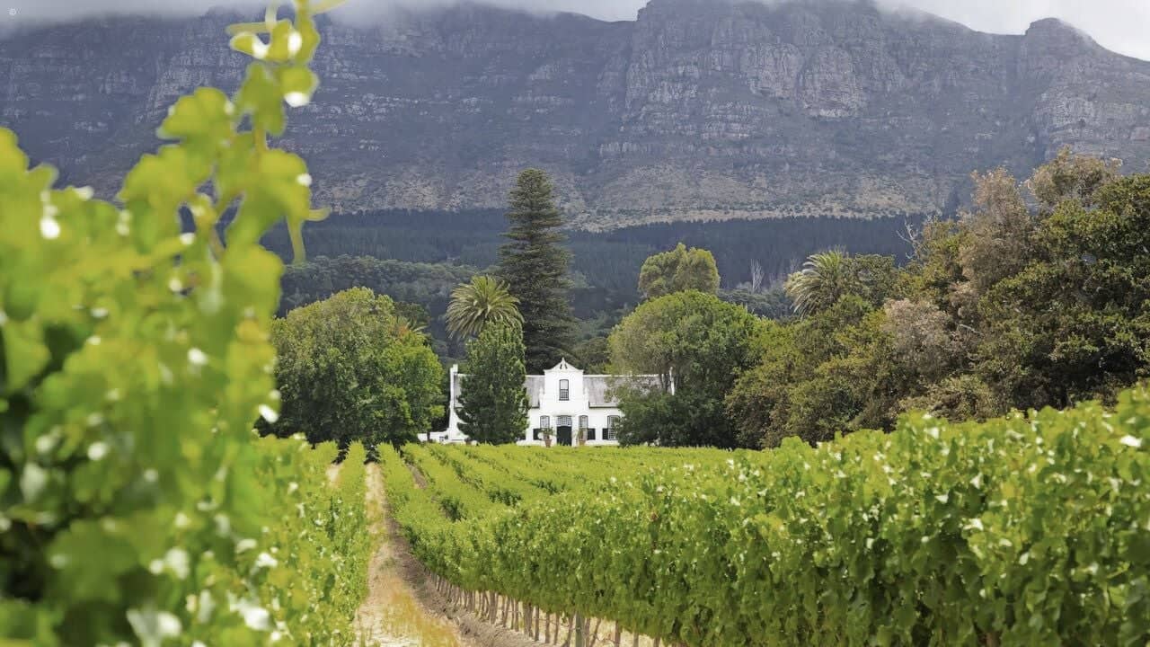 Planning a Full Day in the Winelands
