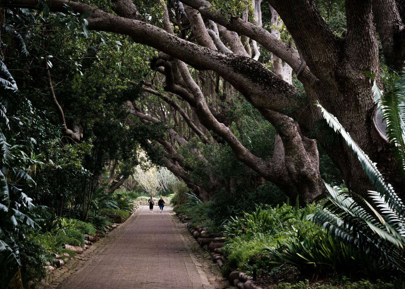 Top Attractions Accessible with a Minibus