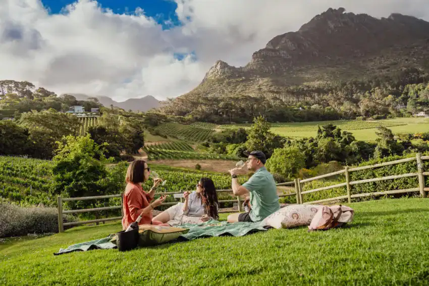 Top Cape Town Day Trips
