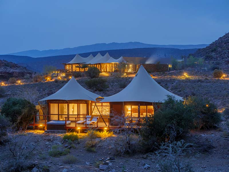 Overview of the Game Lodge
